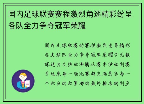 国内足球联赛赛程激烈角逐精彩纷呈各队全力争夺冠军荣耀